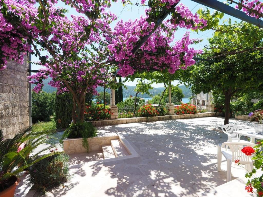 Apartments & Room Eva سلانو المظهر الخارجي الصورة