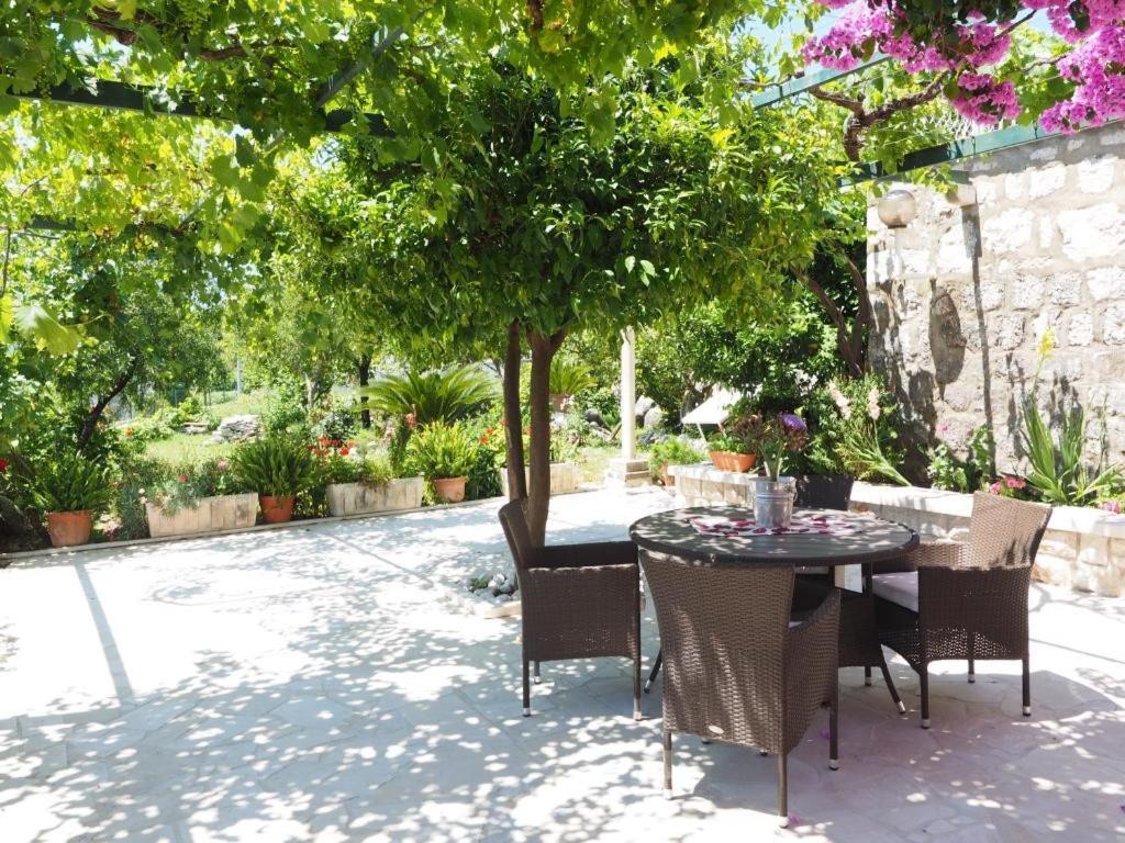 Apartments & Room Eva سلانو المظهر الخارجي الصورة